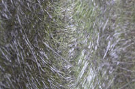 Samlesbury Bottoms fibreglass roof work